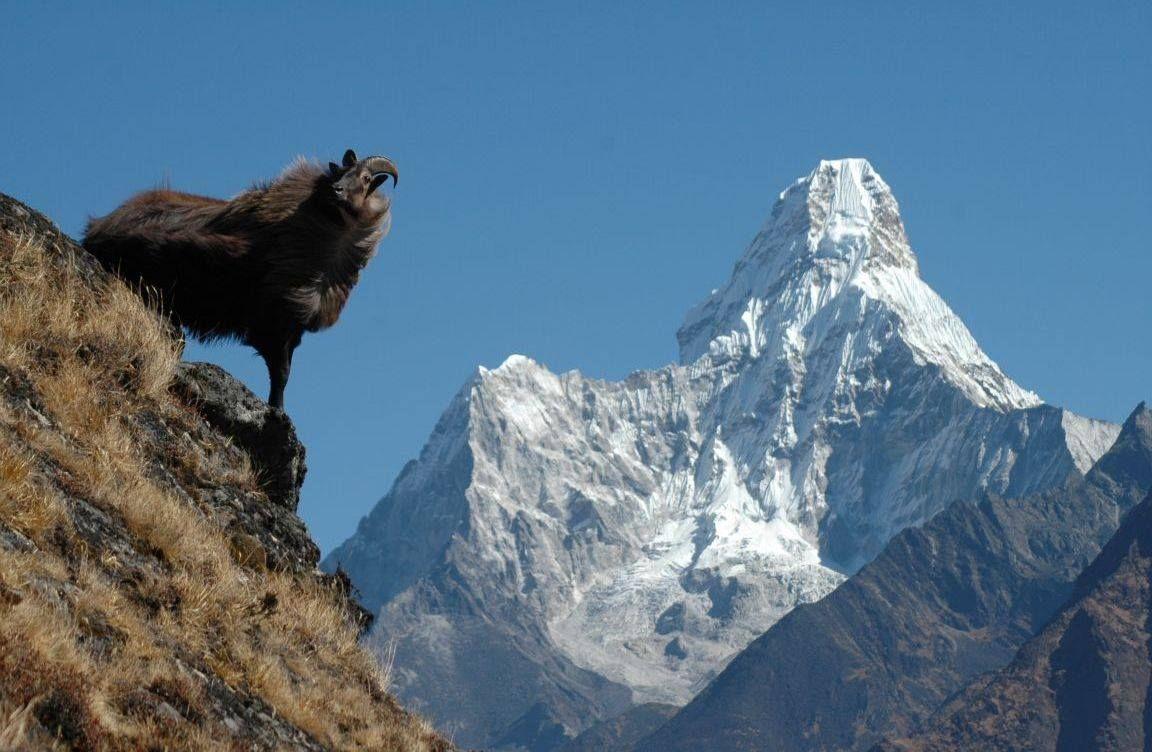 Why You Should Visit Nepal: Nature, Culture, and Unforgettable Hospitality